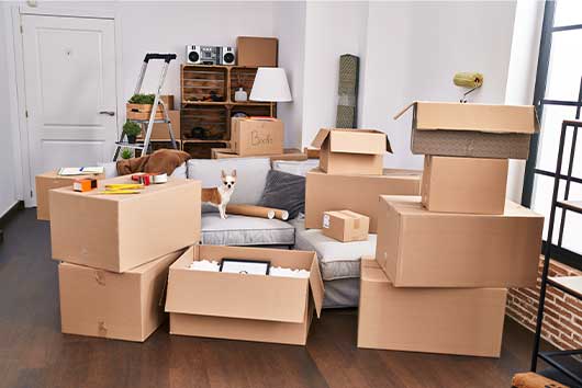 A cluttered room with various boxes and furniture, reflecting a transition from San Diego to Orlando.