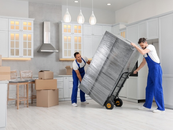 Male movers carrying refrigerator in new house